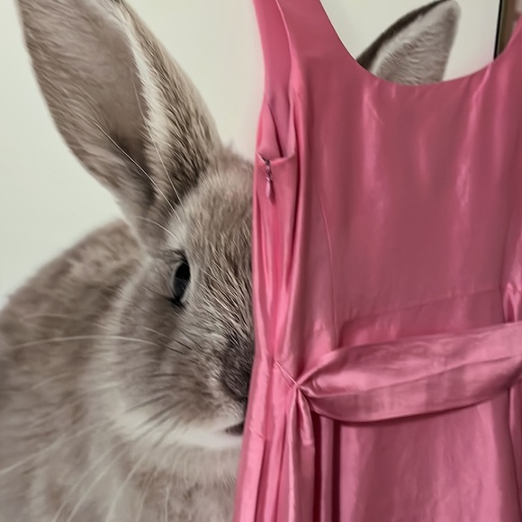 Silk Ralph Lauren size 8 party dress in excellent condition - Picture 4 of 8